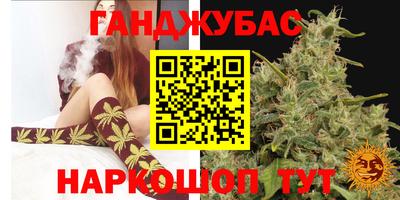 крисы Малгобек