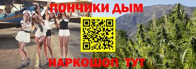 крисы Малгобек