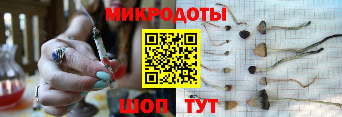 Туймазы  Галлюциногенные грибы прущие грибы  Галлюциногенные грибы мицелий  Вход с VPN 