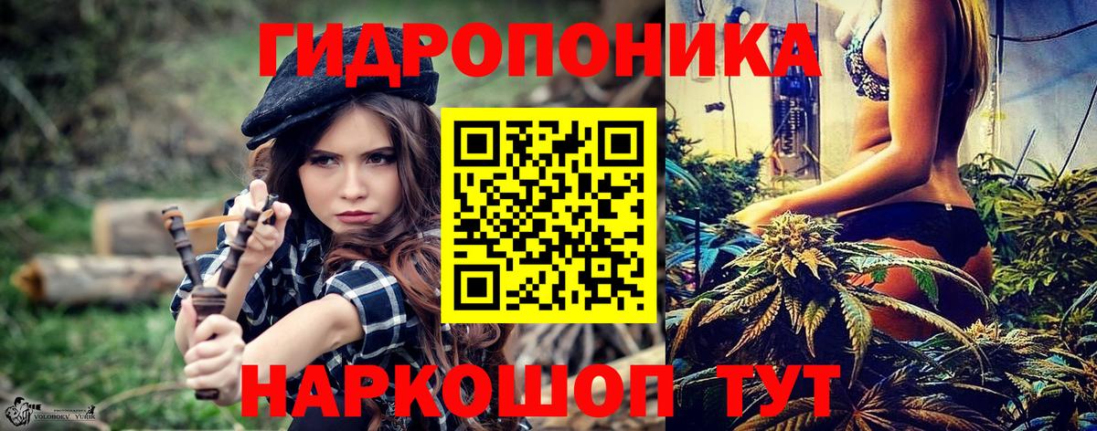 Бошки марихуана план  Марихуана гибрид  Вход с VPN  Туймазы  Канабис THC 21% 